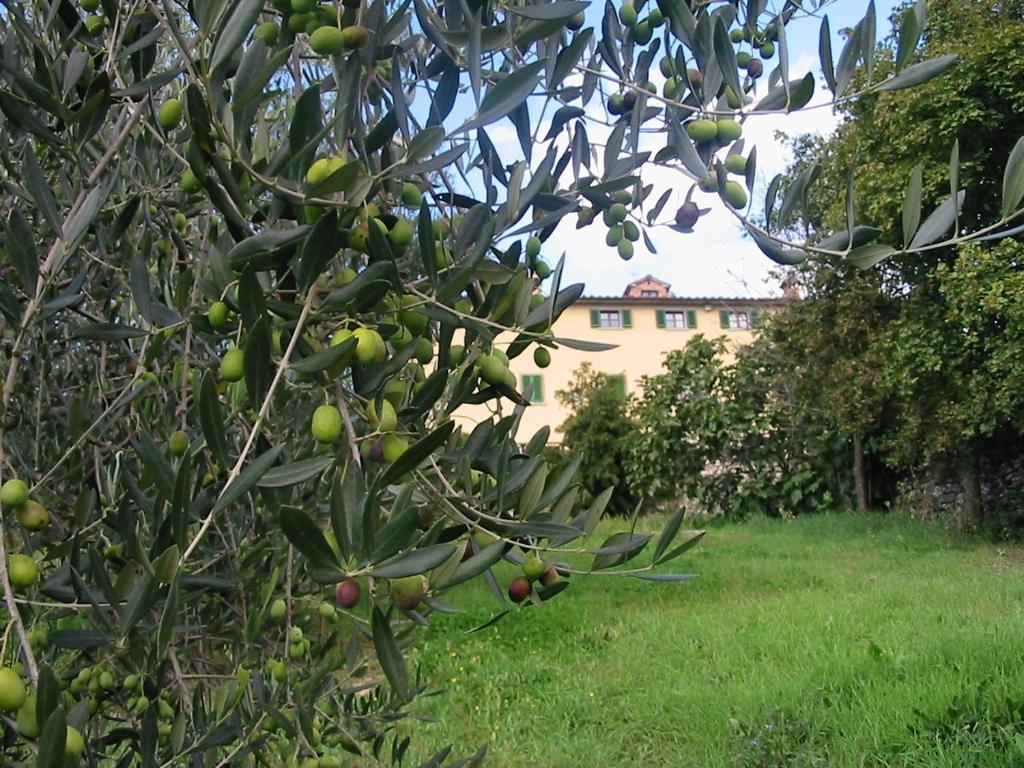 Hotel Relais Palazzo Di Luglio Sansepolcro Buitenkant foto